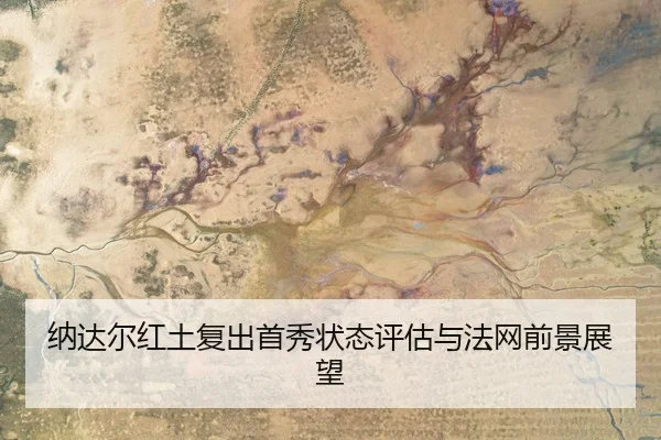 na-da-er-hong-tu-fu-chu-shou-xiu-zhuang-tai-ping-gu-yu-fa-wang-qian-jing-zhan-wang-3-493.jpg