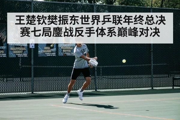 王楚钦樊振东世界乒联年终总决赛七局鏖战反手体系巅峰对决