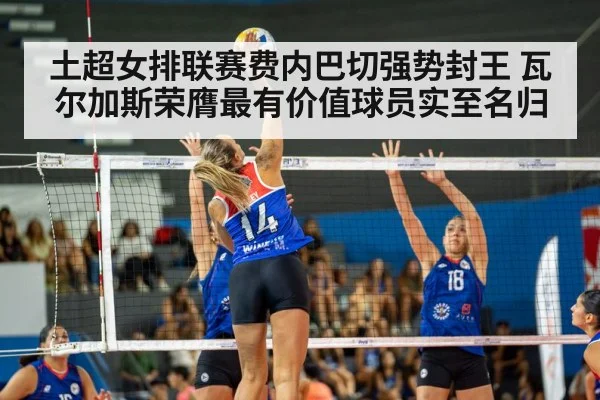 volleyball match
